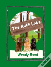 Capa do artigo The Ruff Labs