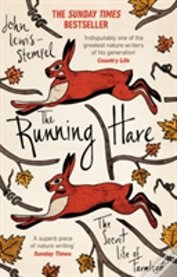 Capa do artigo The Running Hare