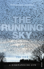 The Running Sky - Preview