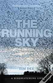 Capa do artigo The Running Sky