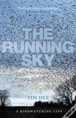 Capa do artigo The Running Sky