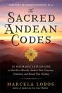 The Sacred Andean Codes - Preview