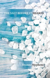 Capa do artigo The Salt Before It Shakes