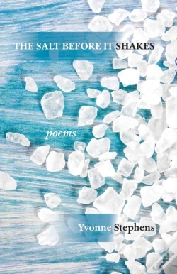 Capa do artigo The Salt Before It Shakes