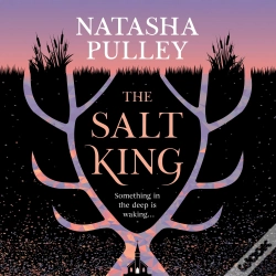 Capa do artigo The Salt King