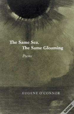 Capa do artigo The Same Sea, The Same Gloaming