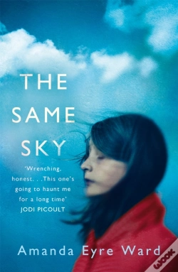 Capa do artigo The Same Sky