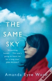 Capa do artigo The Same Sky