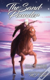 Capa do artigo The Sand Pounder
