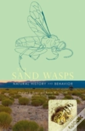 Capa do artigo The Sand Wasps