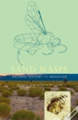 Capa do artigo The Sand Wasps