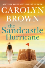 Capa do artigo The Sandcastle Hurricane