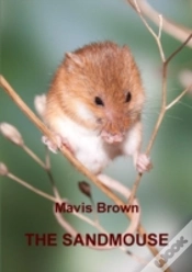 Capa do artigo The Sandmouse