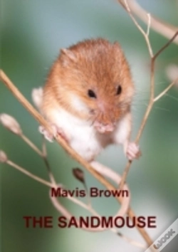 Capa do artigo The Sandmouse