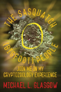 The Sasquatch (Bigfoot) People - Preview