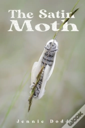 The Satin Moth