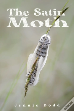 Capa do artigo The Satin Moth