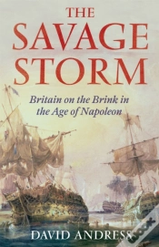 Capa do artigo The Savage Storm