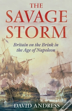 Capa do artigo The Savage Storm