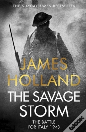Capa do artigo The Savage Storm