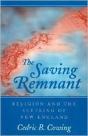 The Saving Remnant - Preview
