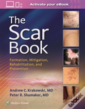 Capa do artigo The Scar Book