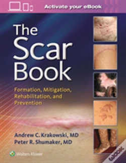 Capa do artigo The Scar Book