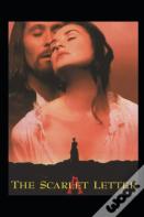 " The Scarlet Letter(Annotated Edition)"