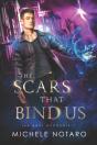 The Scars That Bind Us - Preview