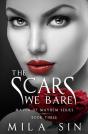 The Scars We Bare - Preview