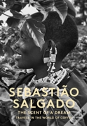Capa do artigo The Scent Of A Dream