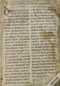 The Schaffhausen Adomnan