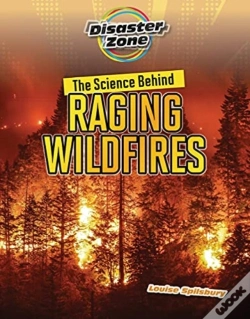 Capa do artigo The Science Behind Raging Wildfires
