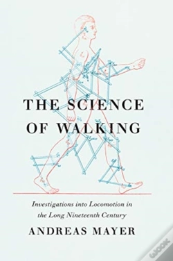 Capa do artigo The Science Of Walking