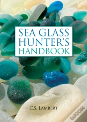 Capa do artigo The Sea Glass Hunter