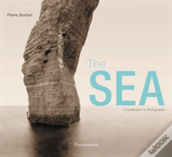Capa do artigo The Sea