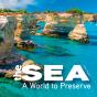 The Sea - Preview