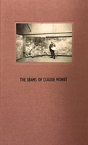 The Seams Of Claude Monet - Preview