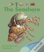 The Seashore