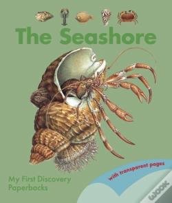 Capa do artigo The Seashore