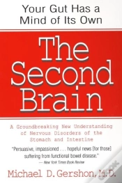 Capa do artigo The Second Brain