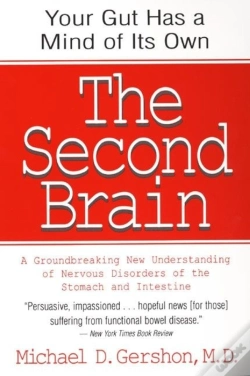 Capa do artigo The Second Brain
