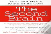 The Second Brain