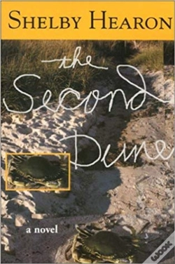 Capa do artigo The Second Dune
