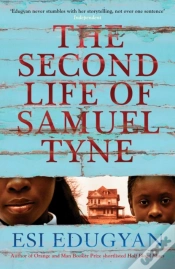 Capa do artigo The Second Life Of Samuel Tyne