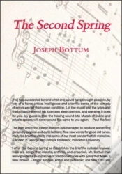 Capa do artigo The Second Spring
