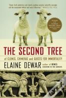 The Second Tree