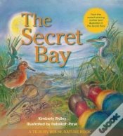 Capa do artigo The Secret Bay