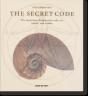 The Secret Code - Preview