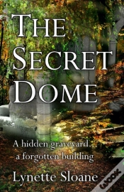 Capa do artigo The Secret Dome